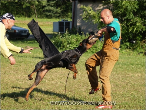 Training camp - Lukova 2007